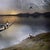Contemporary Terra Incognita by Marcin Owczarek | Photography of a surreal landscape with animals in a boat For Sale - Image 3 of 5
