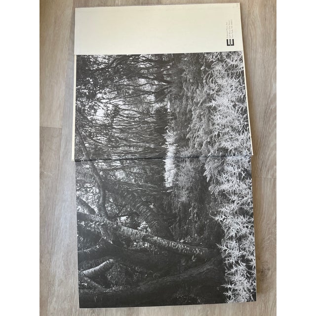 Dove Gray Designing.The Harmptons Coffee Table Book For Sale - Image 8 of 10