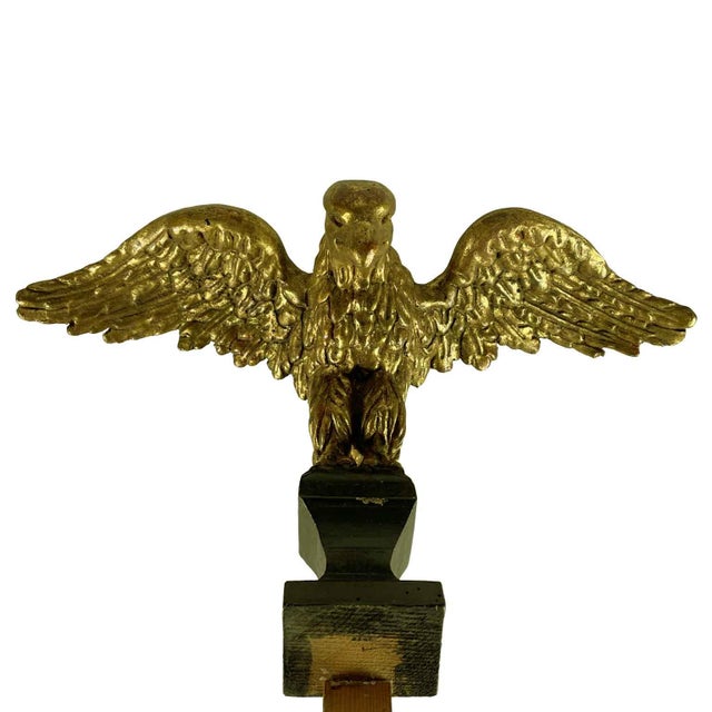 Carved and Gilded Wooden Eagles in Gold Leaf & Pinus Cembra, 1800s, Set of 2 For Sale - Image 7 of 12