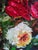 Realism Iryna Dobrovinska Still Life Flowers Original Oil Painting Canvas Art For Sale - Image 3 of 4