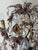 Hollywood Regency Crystal 6-Arm Chandelier with Hand-Painted Rose Details from Palwa, 1950s For Sale - Image 4 of 18