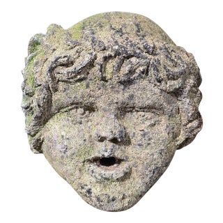 Vicenza Stone Child's Head Fountain Spout, 1890s For Sale