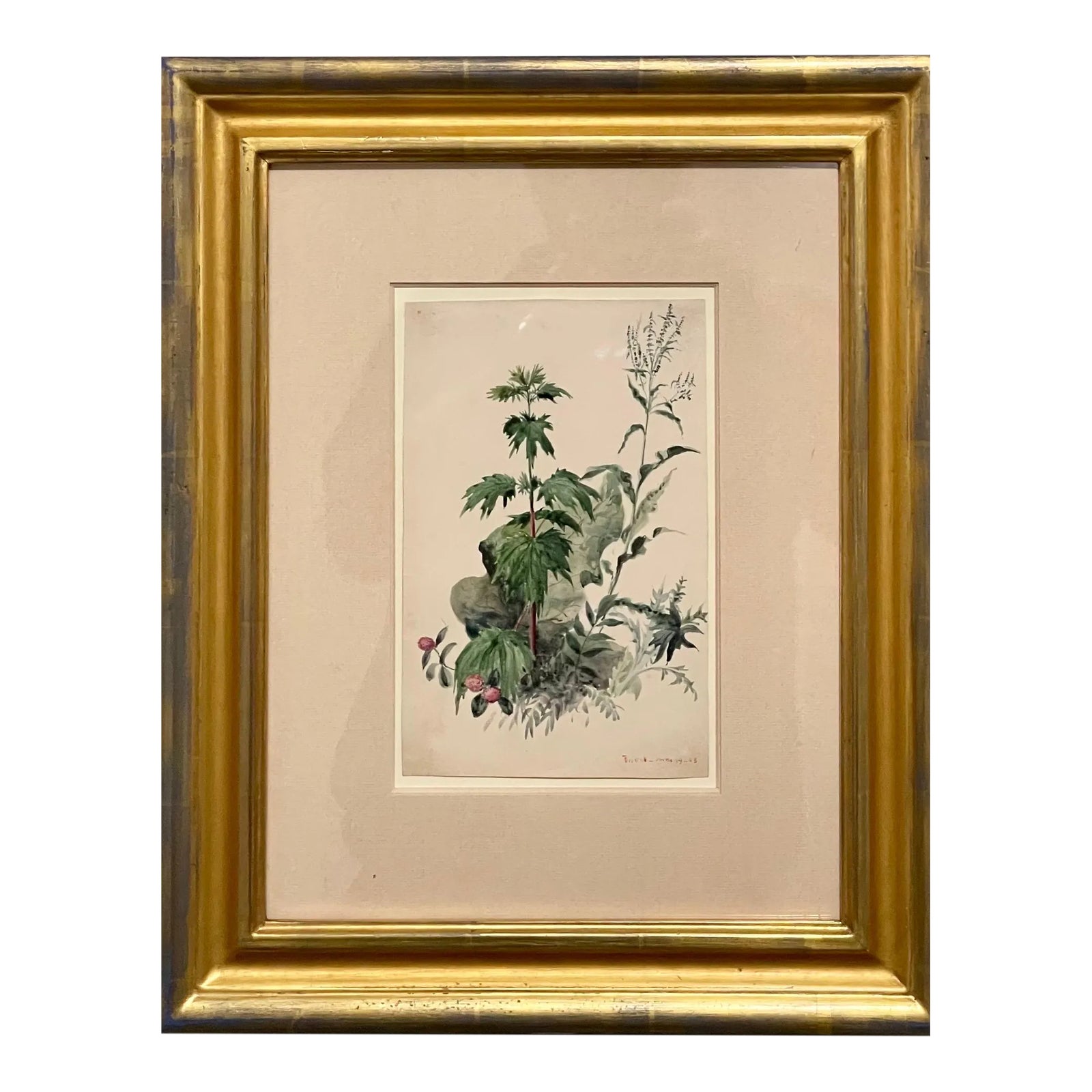 Charles De Wolf Brownell, Plants, Bristol 1863 Watercolor Painting