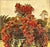 French 1902 French Botanical Chromolithograph-Roses For Sale - Image 3 of 4