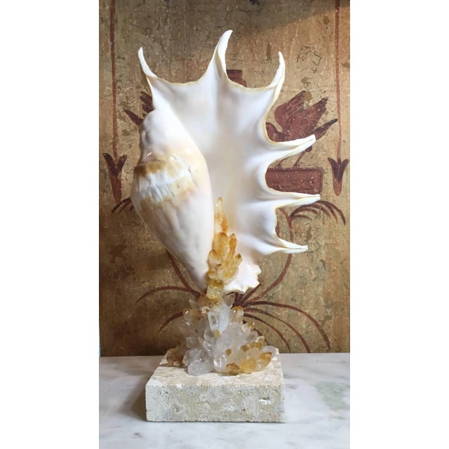 Contemporary One of a Kind Seashell and Crystal Quartz Citrine by Joseph Malekan For Sale - Image 11 of 13