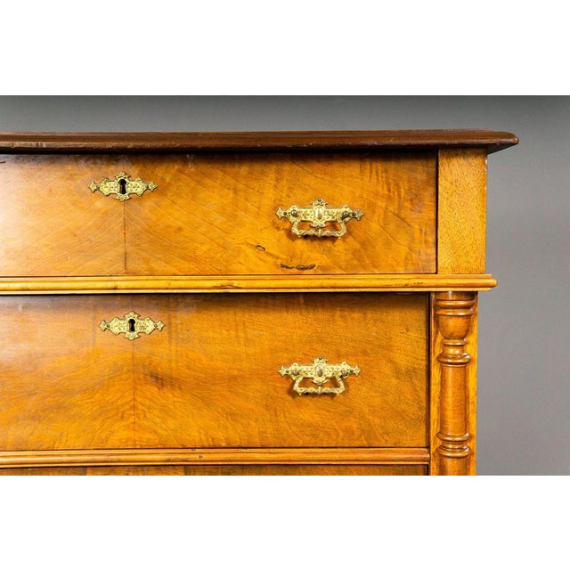 Gründerzeit Chest of Drawers For Sale - Image 15 of 18
