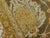 Hand Knotted Indo Oushak Rug. 8'x 9'7" For Sale - Image 11 of 18