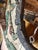 Wood Cw Parker Style Dragon Carousel Chariot Panel For Sale - Image 7 of 12