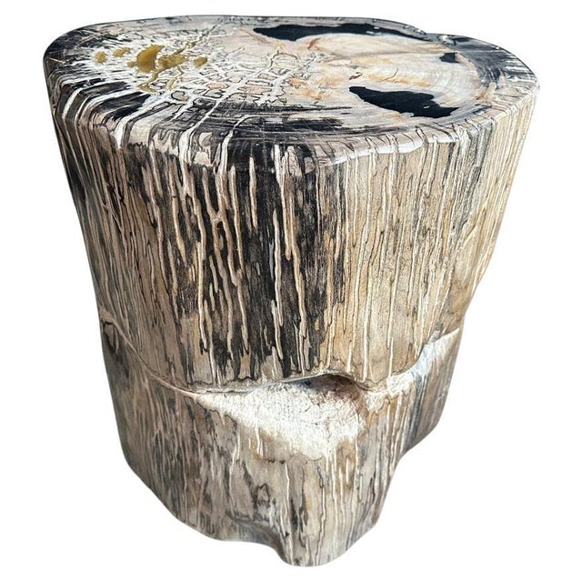 Beautiful contrasting tones and textures on this ancient petrified wood side table. Rare. It’s fascinating how Mother...