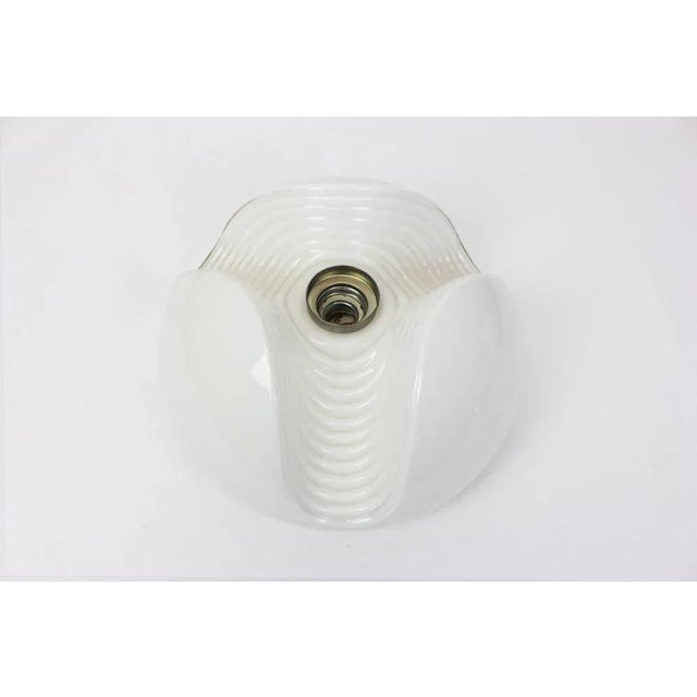 Large Wall Sconce from Koch & Lowy, Germany, 1970s For Sale - Image 4 of 6