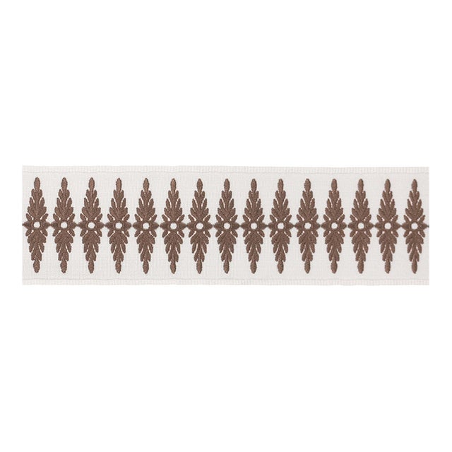 Schumacher Genevieve Embroidered Tape Trim in Brown For Sale