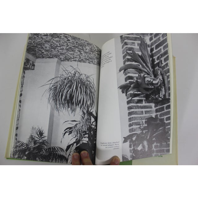 1973 the New York Times Book of House Plants by Joan Lee Faust Book For Sale - Image 9 of 9