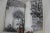 1973 the New York Times Book of House Plants by Joan Lee Faust Book For Sale - Image 9 of 9