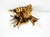 A beautiful, small, and rare floral ceiling lamp from the 1960s. also suitable for use as a wall lamp. manufacturer: banci...