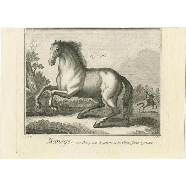 Horse Riding, 1765, Paper, Set of 2 For Sale - Image 3 of 6