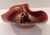 A raku-style ceramic vessel designed for flower arranging, with a wide, organic, free-form rim that curves and folds...