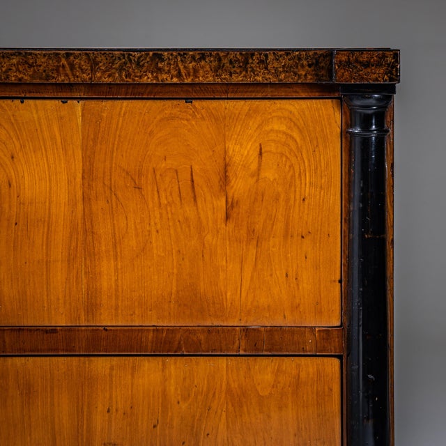 Brown Biedermeier Chest of Drawers with Burl Veneer, Southern Germany, 1820 For Sale - Image 8 of 10