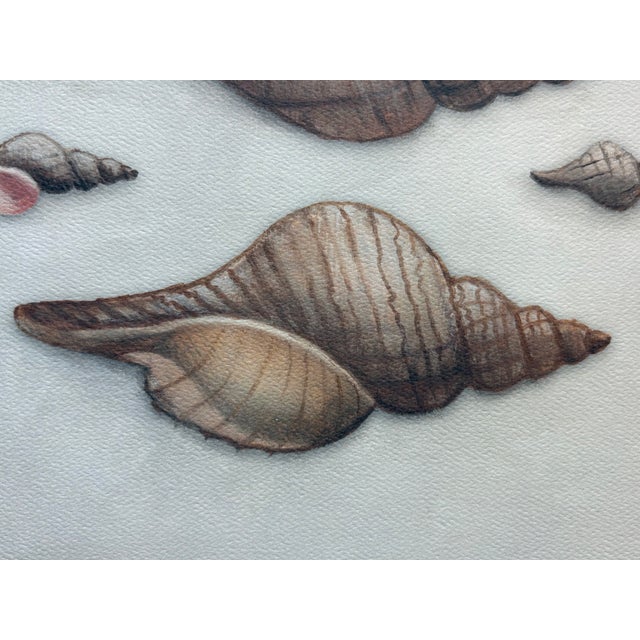Contemporary Hannah Winters Repro Print of Her Seashells in a Vintage Gold Frame For Sale - Image 4 of 6