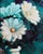 Spotlights by Tracy Wall | Oil on Canvas Painting of white flowers on a dark background For Sale
