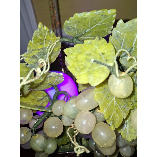 Chinese Grape Vines Bonsai Tree For Sale - Image 3 of 12