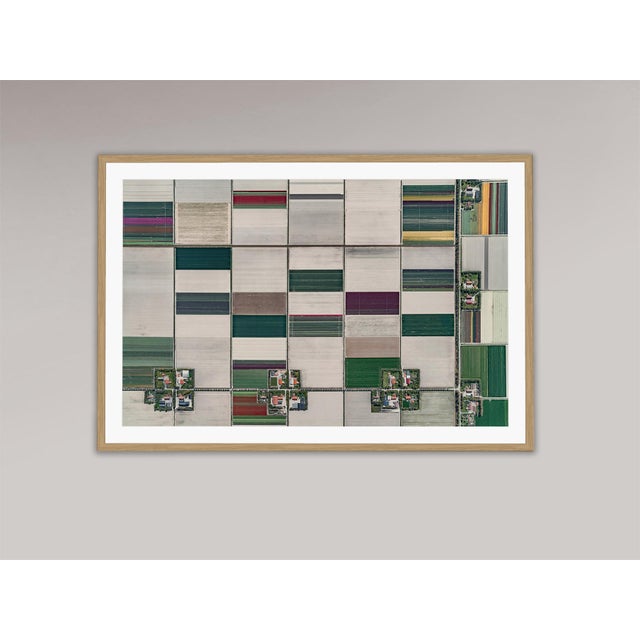 Edition Aerial Views Bernhard Lang Image: AV_Tulip_Fileds_001 Size B: 55,1 x 35,4 inches Captured in 2016 in the...