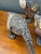 Vintage Carved Wood Goose Sculptures - Set of 3 For Sale - Image 11 of 18