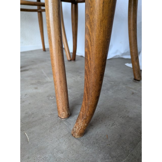 Vintage Bentwood Cane Dining Chairs, 1970s, Set of 6 For Sale - Image 10 of 18
