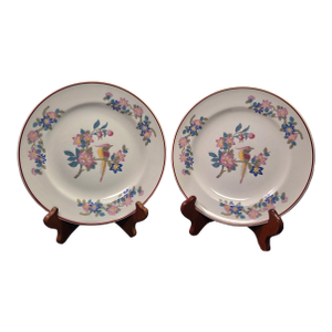 1940s Ritz-Carlton "Bird of Paradise" Luncheon Plates by Mayer China - a Pair