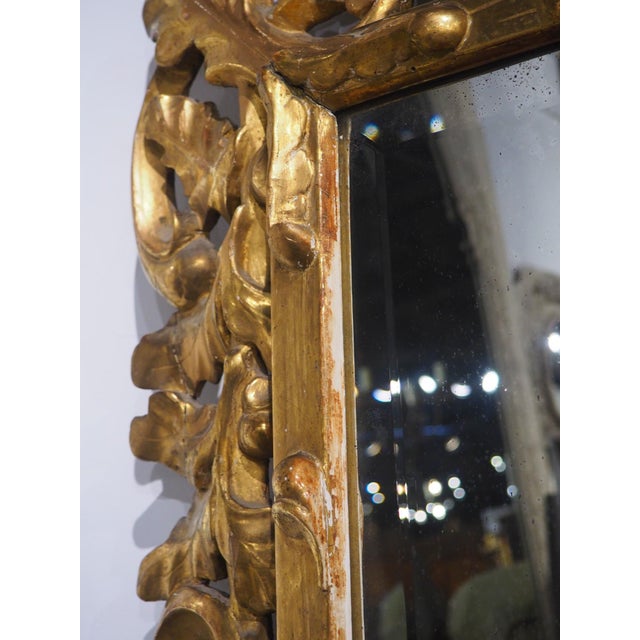 Italian 19th Century Giltwood Mirror From Florence, Italy For Sale - Image 3 of 18