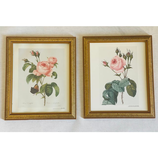 Gorgeous pair of floral botanical Chromolithographs. P.J.Redoute. Of Roses.