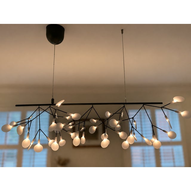 Stunning Moooi Heracleum III Endless chandelier, designed by renowned Dutch designer Bertjan Pot. This iconic sculptural...