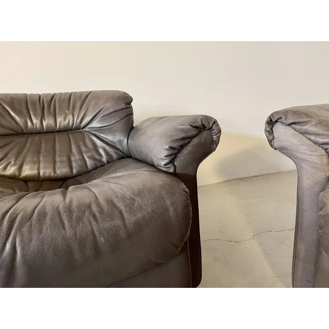 Armchair Ds14 from de Sede For Sale - Image 10 of 13