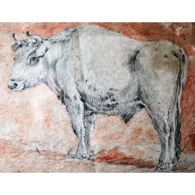 Beautiful Flemish drawing from the 17th century made with drypoint and red chalk representing a bull in profile. This...