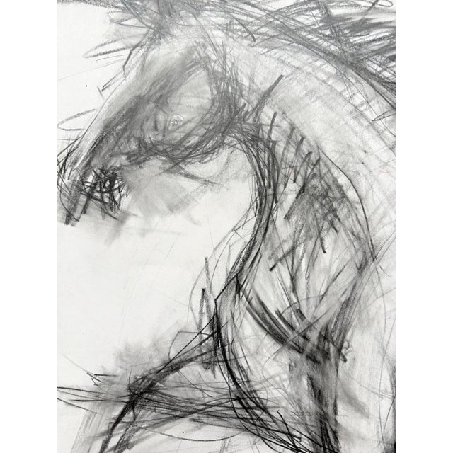 An expressive gestural drawing of a horse rendered in pencil on paper, capturing the energy and movement through mark-...
