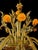 Murano Glass Chandelier, 1950s For Sale - Image 6 of 18