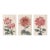 Red Chrysanthemum Triptych, Vintage Japanese Botanical Art Prints (Set of 3), 12" X 18" For Sale