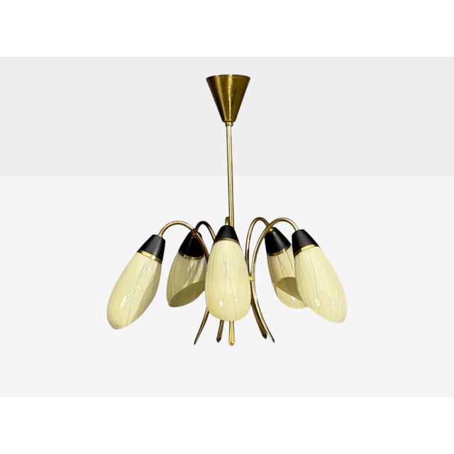 Mid-Century Modern 1950s Mid-Century Modern German Modern, Five-Light Chandelier, Brass, Metal, Glass For Sale - Image 3 of 13