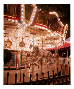 Rachel Louise Brown, the Carousel, Palm Beach Zoo, West Palm Beach, 2015, Photographic Print