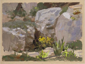 034 - Plein Air-Denver Botanic Gardens, 5/11/22 by Judd Mercer | Gouache Painting of rocks and flowers