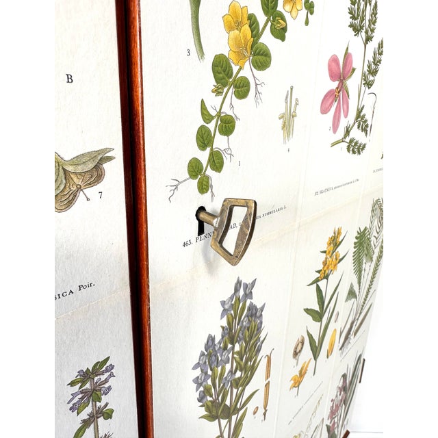 White 1950's Swedish Cabinet With Nordens Flora Illustrations For Sale - Image 8 of 12