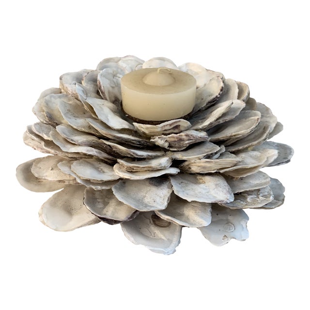Sculptural Natural Oyster Shell Votive Holder Chairish