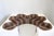 Safari Lounge Sofa by Archizoom Associates, 1968 For Sale - Image 16 of 18