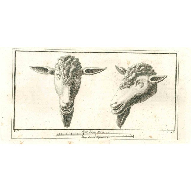 Ancient roman statues, from the series "antiquities of herculaneum", is an original etching on paper realized from a...