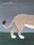 Contemporary 'Majestic Lion' Original Naive Style Animal Oil Painting by British Artist Matt Rix, Framed For Sale - Image 9 of 12