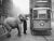 An elephant named Mae West accepts an apple from a passing tram driver while taking her morning exercise along Gray's Inn...