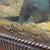20th Century Spanish School Oil on Canvas Framed Signed Titled Matador For Sale - Image 11 of 12