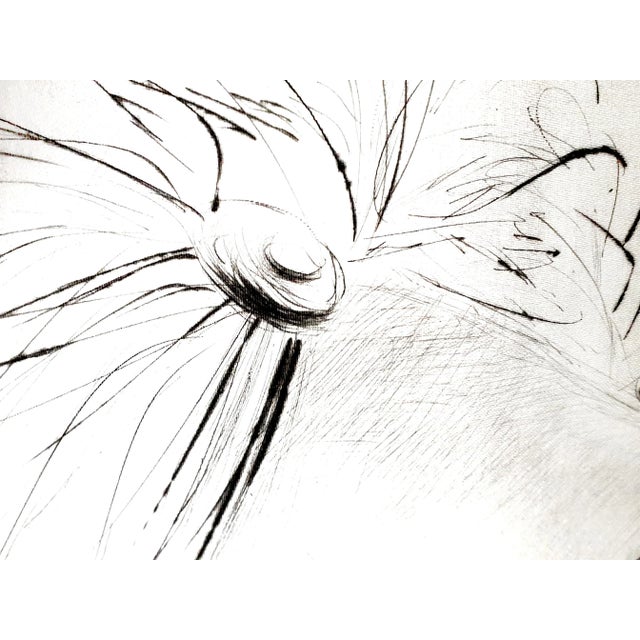 Early 21st Century Salvador Dali - The Crown - Original Etching on Silk 1968 For Sale - Image 5 of 8