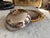 Vintage Italian Serving Dish with Gilt Details, 1970s For Sale - Image 10 of 14