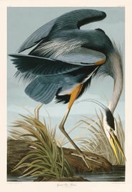 Example of Fine Art in Atlanta