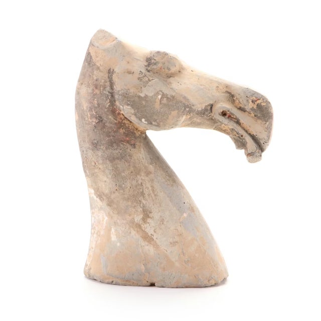 Off-white Antique Chinese Han Dynasty Polychrome Painted Terracotta Horse Funerary Tomb Figure For Sale - Image 8 of 17